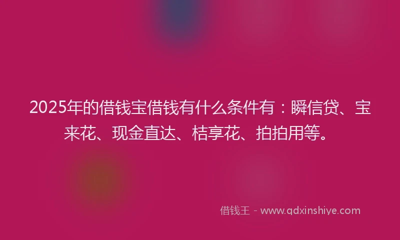 2025年的借钱宝借钱有什么条件有：瞬信贷、宝来花、现金直达、桔享花、拍拍用等。