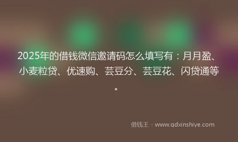 2025年的借钱微信邀请码怎么填写有:月月盈、小麦粒贷、优速购、芸豆分、芸豆花、闪贷通等。