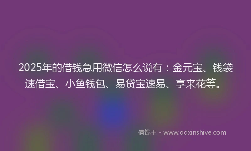 2025年的借钱急用微信怎么说有：金元宝、钱袋速借宝、小鱼钱包、易贷宝速易、享来花等。