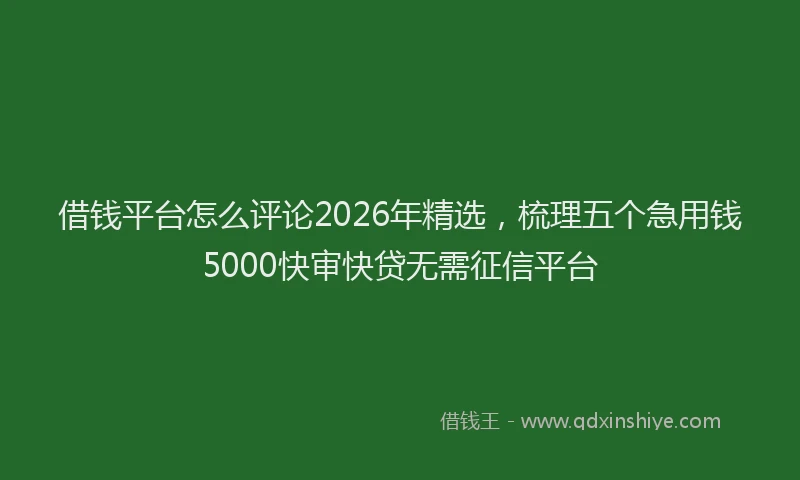 借钱平台怎么评论2026年精选,梳理五个急用钱5000快审快贷无需征信平台