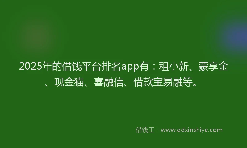 2025年的借钱平台排名app有：租小新、蒙享金、现金猫、喜融信、借款宝易融等。