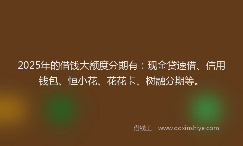 2025年的借钱大额度分期有:现金贷速借、信用钱包、恒小花、花花卡、树融分期等。