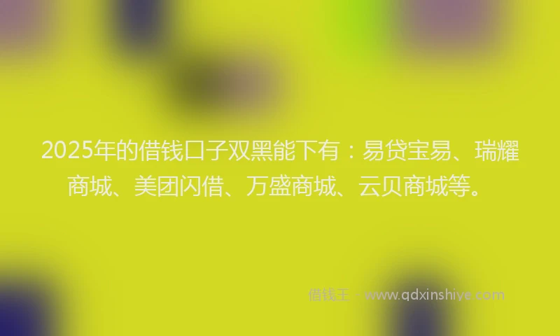 2025年的借钱口子双黑能下有：易贷宝易、瑞耀商城、美团闪借、万盛商城、云贝商城等。