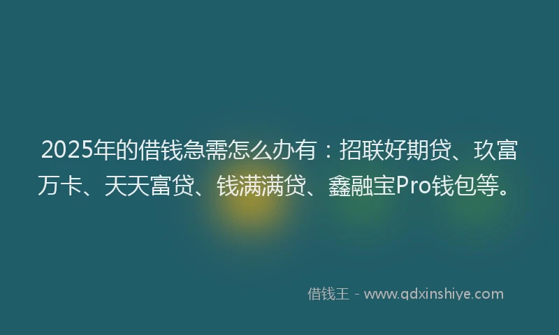 2025年的借钱急需怎么办有：招联好期贷、玖富万卡、天天富贷、钱满满贷、鑫融宝Pro钱包等。
