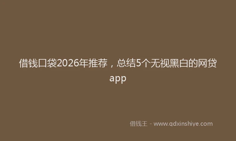 借钱口袋2026年推荐，总结5个无视黑白的网贷app