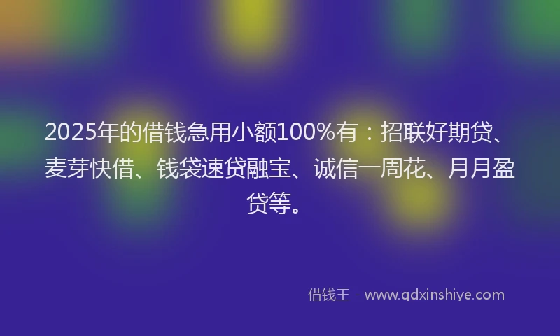 2025年的借钱急用小额100%有:招联好期贷、麦芽快借、钱袋速贷融宝、诚信一周花、月月盈贷等。