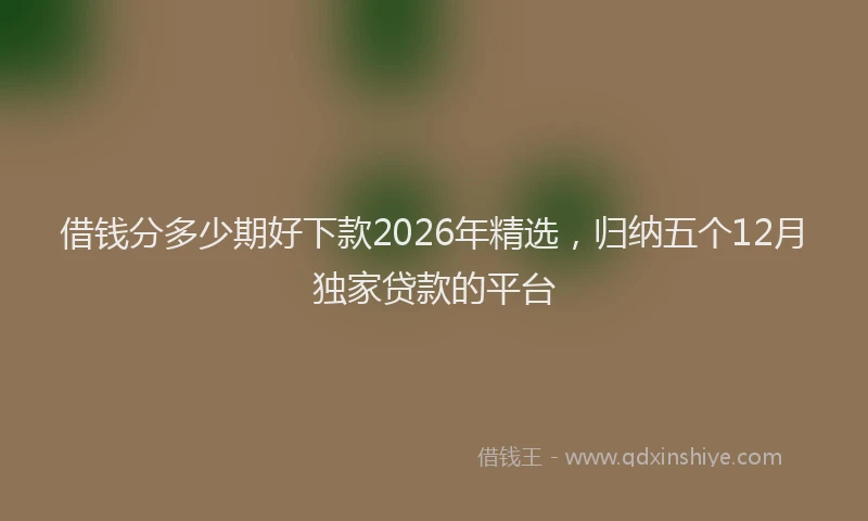 借钱分多少期好下款2026年精选，归纳五个12月独家贷款的平台