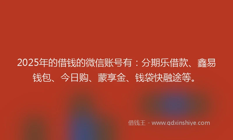 2025年的借钱的微信账号有：分期乐借款、鑫易钱包、今日购、蒙享金、钱袋快融途等。