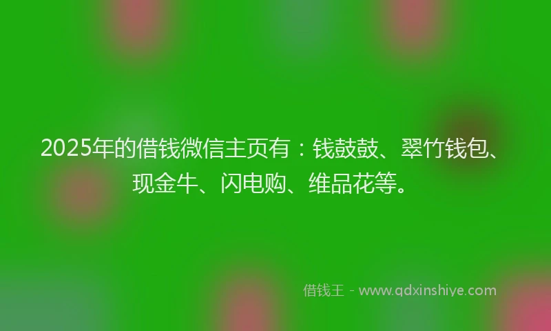 2025年的借钱微信主页有：钱鼓鼓、翠竹钱包、现金牛、闪电购、维品花等。