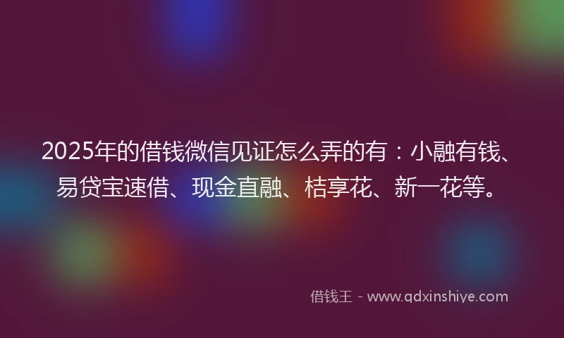 2025年的借钱微信见证怎么弄的有:小融有钱、易贷宝速借、现金直融、桔享花、新一花等。