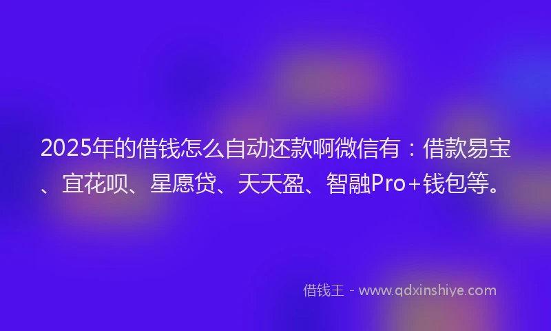 2025年的借钱怎么自动还款啊微信有:借款易宝、宜花呗、星愿贷、天天盈、智融Pro+钱包等。