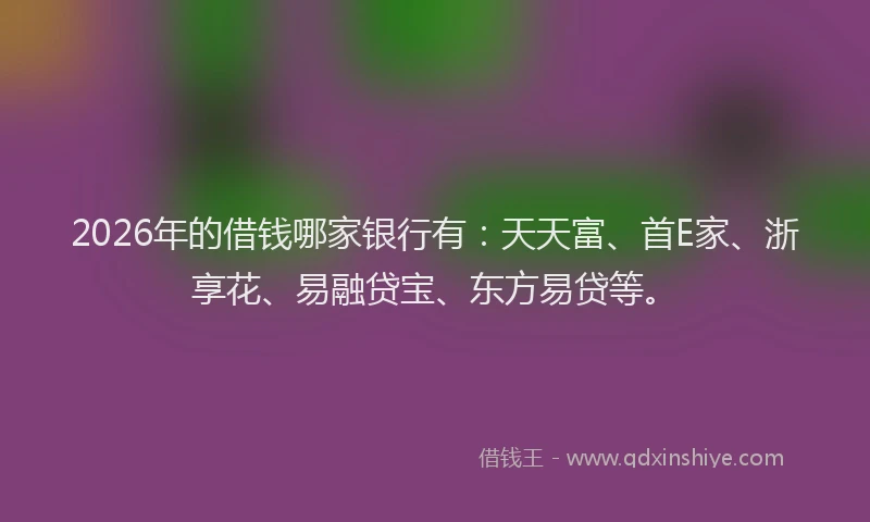 2026年的借钱哪家银行有：天天富、首E家、浙享花、易融贷宝、东方易贷等。