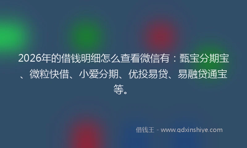 2026年的借钱明细怎么查看微信有：甄宝分期宝、微粒快借、小爱分期、优投易贷、易融贷通宝等。