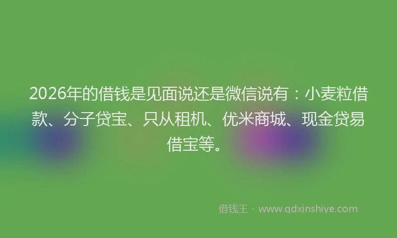 2026年的借钱是见面说还是微信说有：小麦粒借款、分子贷宝、只从租机、优米商城、现金贷易借宝等。