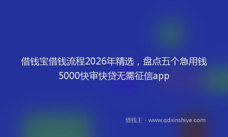 借钱宝借钱流程2026年精选，盘点五个急用钱5000快审快贷无需征信app