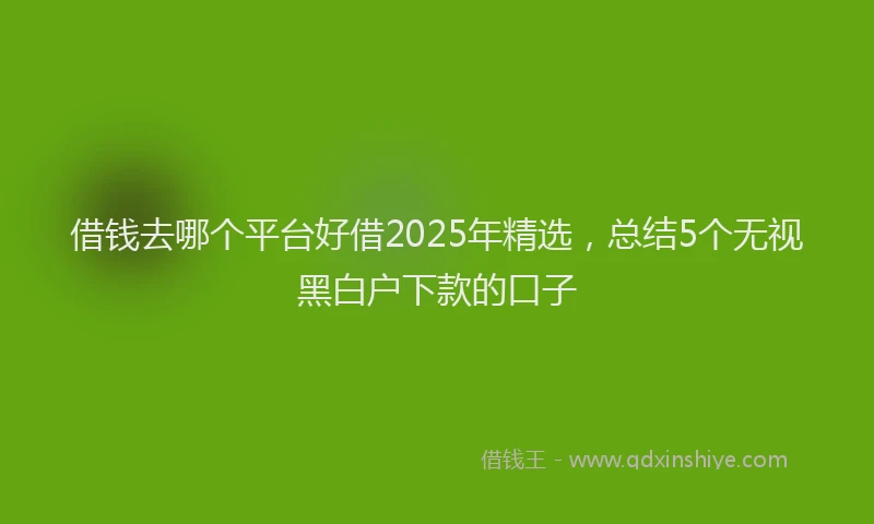 借钱去哪个平台好借2025年精选，总结5个无视黑白户下款的口子