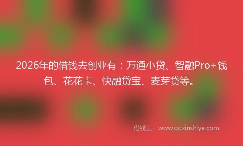 2026年的借钱去创业有:万通小贷、智融Pro+钱包、花花卡、快融贷宝、麦芽贷等。