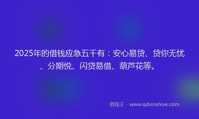 2025年的借钱应急五千有：安心易贷、贷你无忧、分期悦、闪贷易借、葫芦花等。