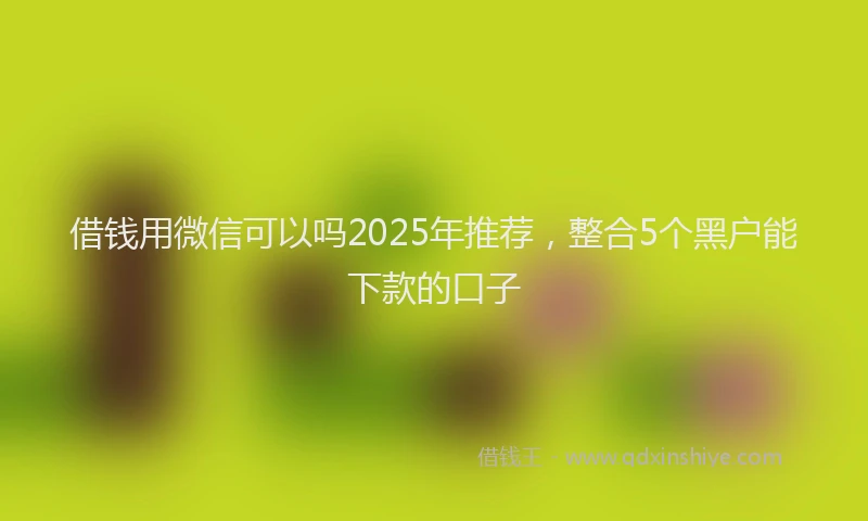 借钱用微信可以吗2025年推荐,整合5个黑户能下款的口子
