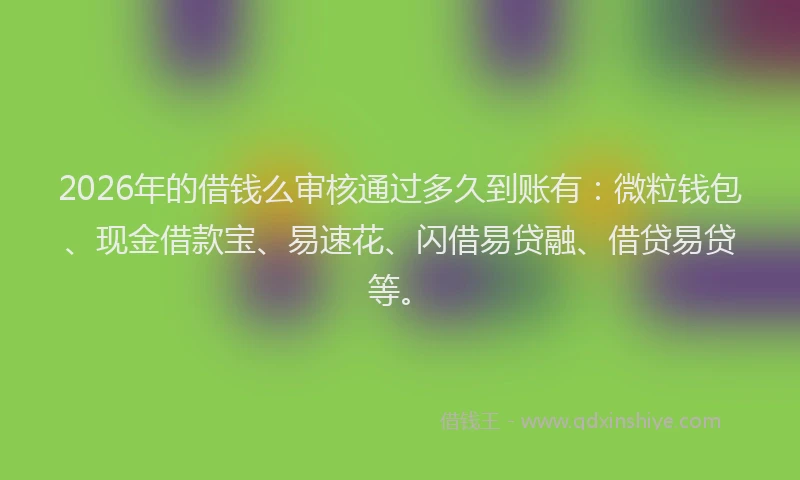 2026年的借钱么审核通过多久到账有:微粒钱包、现金借款宝、易速花、闪借易贷融、借贷易贷等。