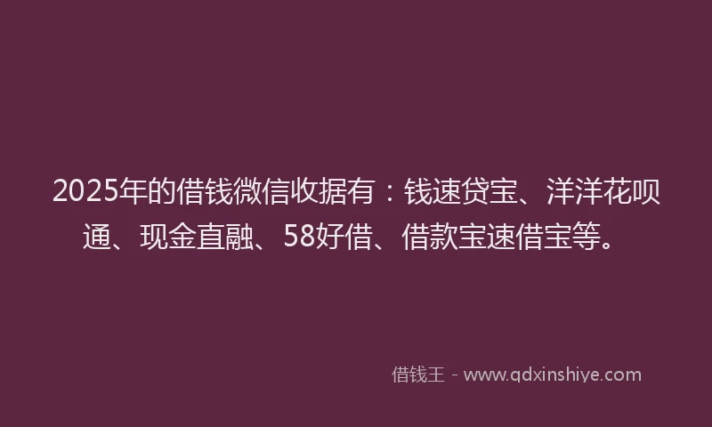 2025年的借钱微信收据有：钱速贷宝、洋洋花呗通、现金直融、58好借、借款宝速借宝等。