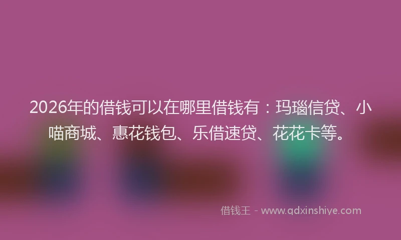 2026年的借钱可以在哪里借钱有:玛瑙信贷、小喵商城、惠花钱包、乐借速贷、花花卡等。