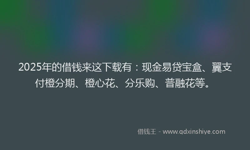 2025年的借钱来这下载有：现金易贷宝盒、翼支付橙分期、橙心花、分乐购、普融花等。
