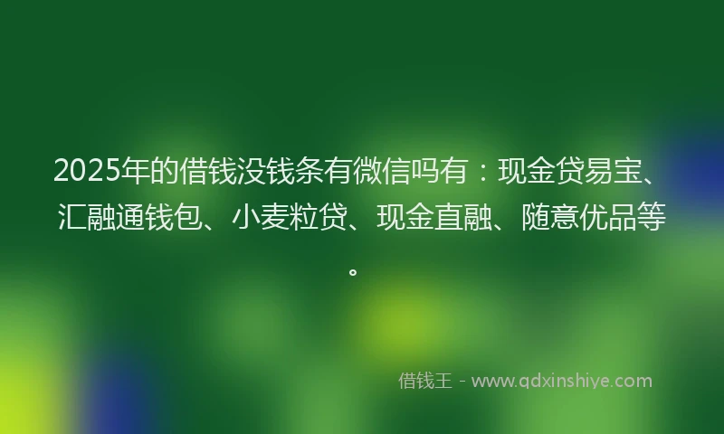 2025年的借钱没钱条有微信吗有:现金贷易宝、汇融通钱包、小麦粒贷、现金直融、随意优品等。