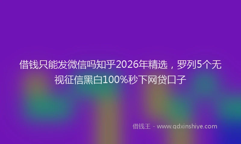 借钱只能发微信吗知乎2026年精选，罗列5个无视征信黑白100%秒下网贷口子
