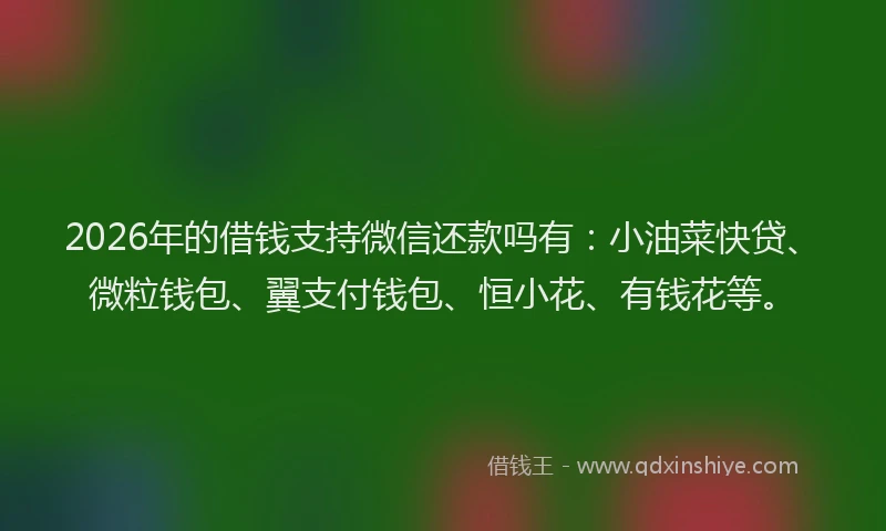 2026年的借钱支持微信还款吗有:小油菜快贷、微粒钱包、翼支付钱包、恒小花、有钱花等。