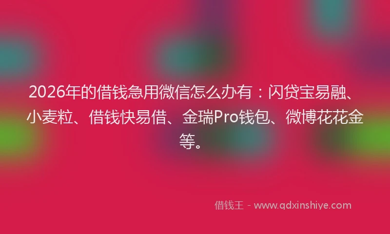 2026年的借钱急用微信怎么办有:闪贷宝易融、小麦粒、借钱快易借、金瑞Pro钱包、微博花花金等。