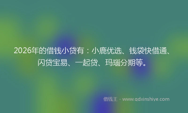 2026年的借钱小贷有：小鹿优选、钱袋快借通、闪贷宝易、一起贷、玛瑙分期等。