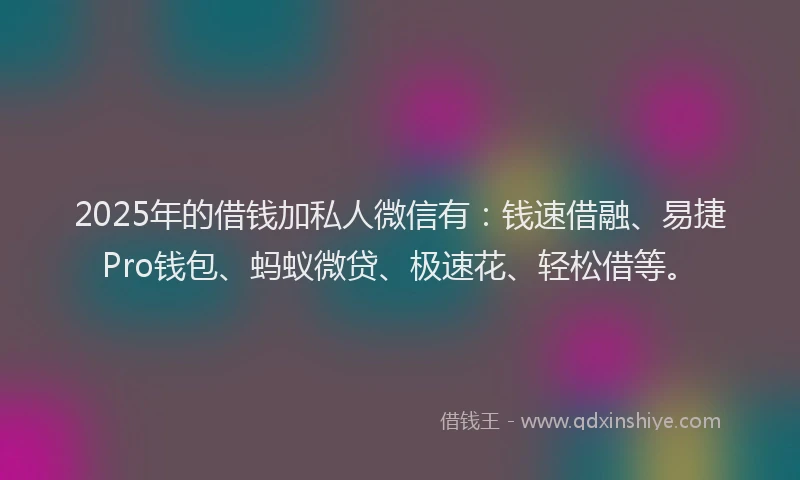 2025年的借钱加私人微信有：钱速借融、易捷Pro钱包、蚂蚁微贷、极速花、轻松借等。