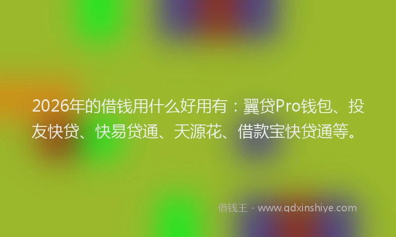 2026年的借钱用什么好用有：翼贷Pro钱包、投友快贷、快易贷通、天源花、借款宝快贷通等。