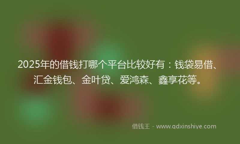 2025年的借钱打哪个平台比较好有：钱袋易借、汇金钱包、金叶贷、爱鸿森、鑫享花等。