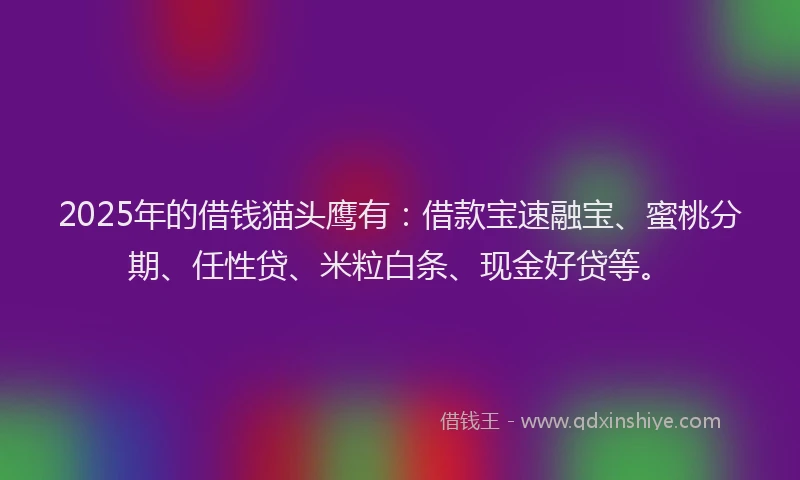 2025年的借钱猫头鹰有：借款宝速融宝、蜜桃分期、任性贷、米粒白条、现金好贷等。