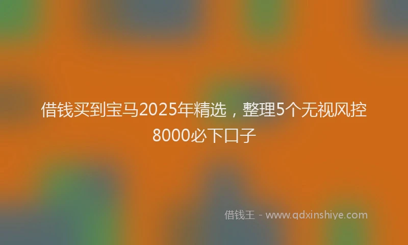 借钱买到宝马2025年精选，整理5个无视风控8000必下口子