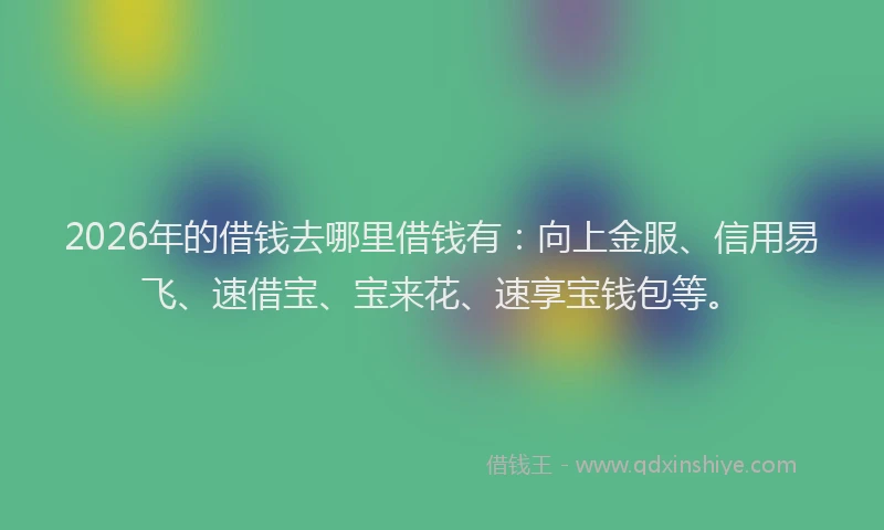 2026年的借钱去哪里借钱有：向上金服、信用易飞、速借宝、宝来花、速享宝钱包等。