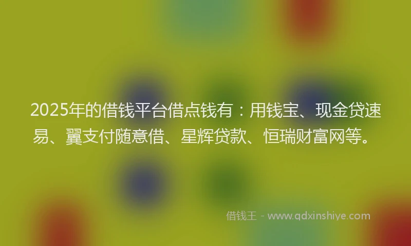 2025年的借钱平台借点钱有:用钱宝、现金贷速易、翼支付随意借、星辉贷款、恒瑞财富网等。