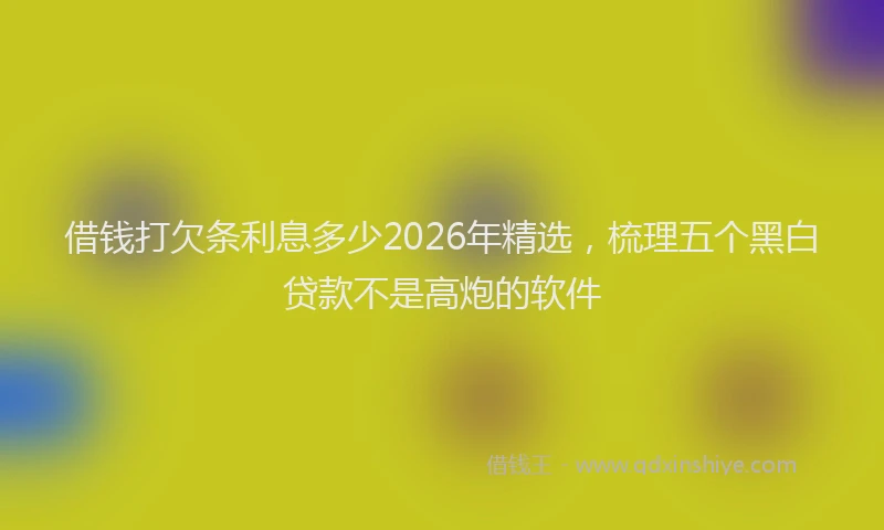 借钱打欠条利息多少2026年精选，梳理五个黑白贷款不是高炮的软件