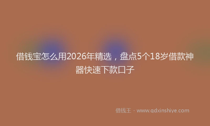 借钱宝怎么用2026年精选，盘点5个18岁借款神器快速下款口子