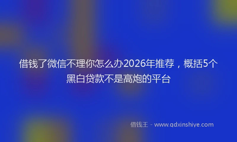 借钱了微信不理你怎么办2026年推荐,概括5个黑白贷款不是高炮的平台