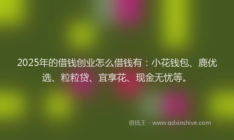 2025年的借钱创业怎么借钱有：小花钱包、鹿优选、粒粒贷、宜享花、现金无忧等。