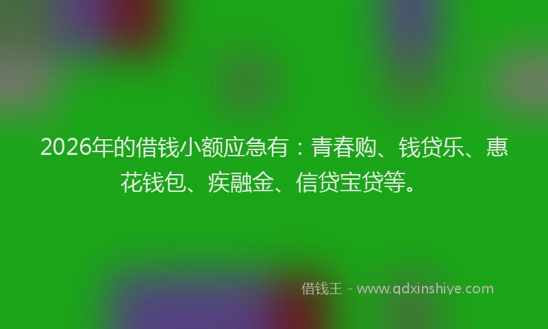 2026年的借钱小额应急有:青春购、钱贷乐、惠花钱包、疾融金、信贷宝贷等。