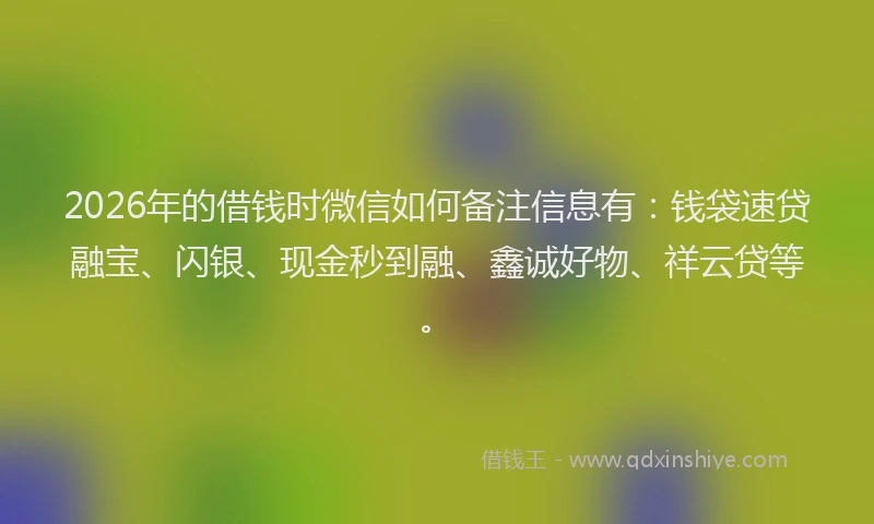 2026年的借钱时微信如何备注信息有：钱袋速贷融宝、闪银、现金秒到融、鑫诚好物、祥云贷等。