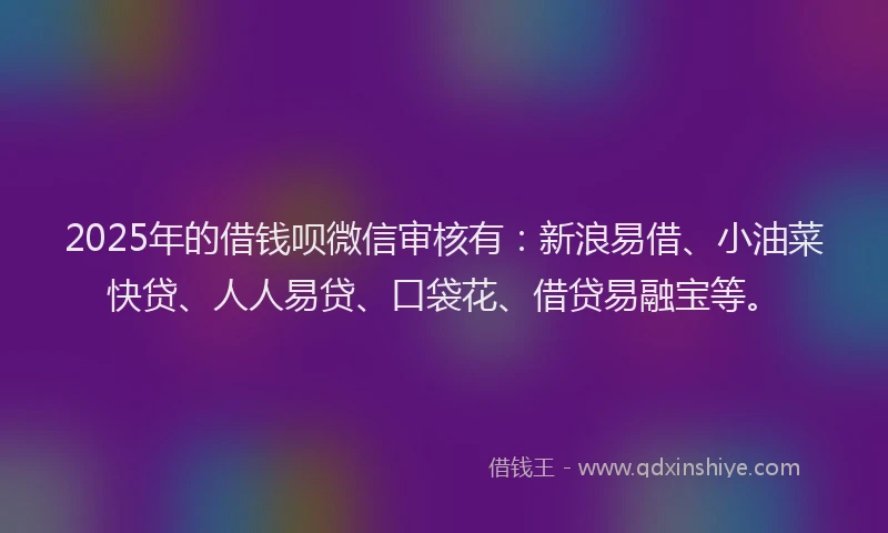2025年的借钱呗微信审核有：新浪易借、小油菜快贷、人人易贷、口袋花、借贷易融宝等。