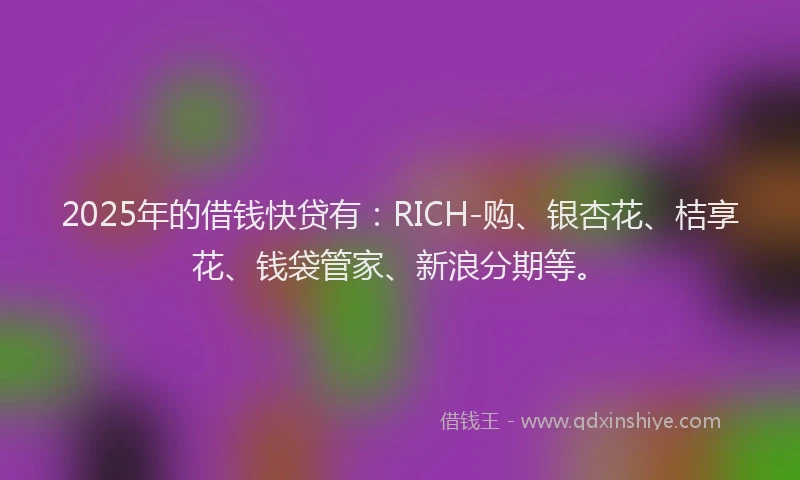 2025年的借钱快贷有:RICH-购、银杏花、桔享花、钱袋管家、新浪分期等。
