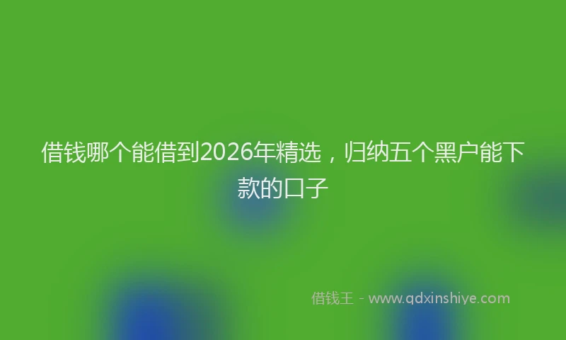 借钱哪个能借到2026年精选，归纳五个黑户能下款的口子