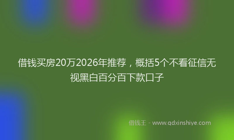 借钱买房20万2026年推荐，概括5个不看征信无视黑白百分百下款口子