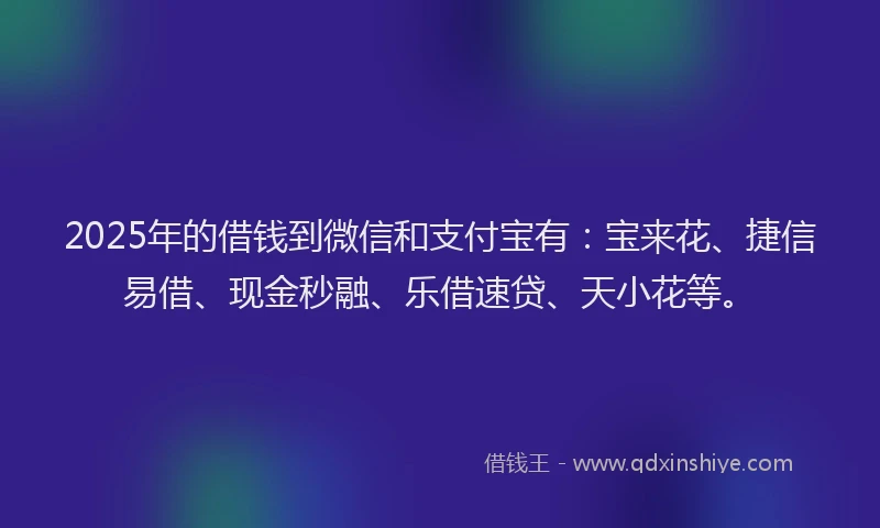 2025年的借钱到微信和支付宝有：宝来花、捷信易借、现金秒融、乐借速贷、天小花等。